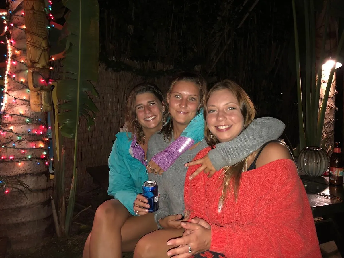 Tiki Beach Hostel-At The Beach In Lahaina Hostel